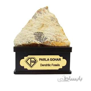 سنگ شجر فسیلی (دندریتی ) کد 2376 ا قیمت به شرط خرید تیمی