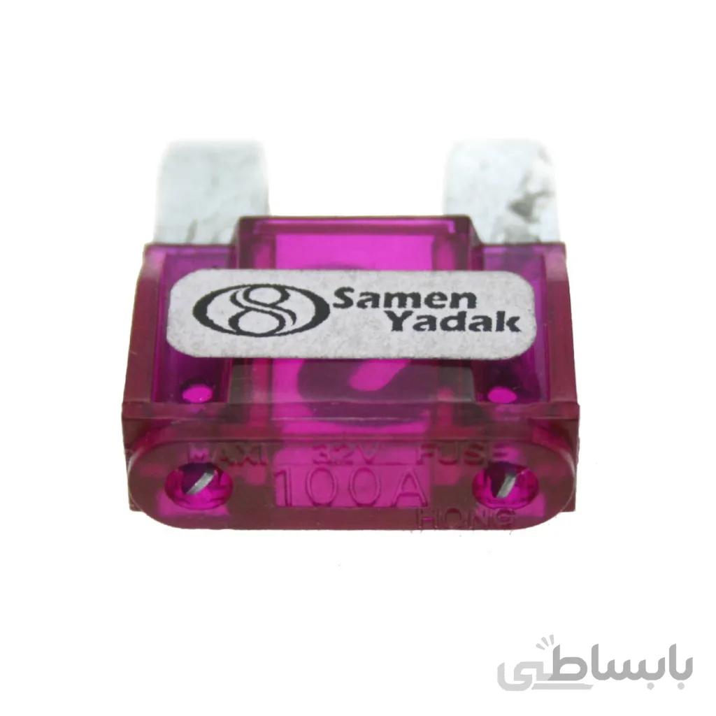 فیوز بزرگ (فیوز گاوی ) 206 ، زانتیا و غیره