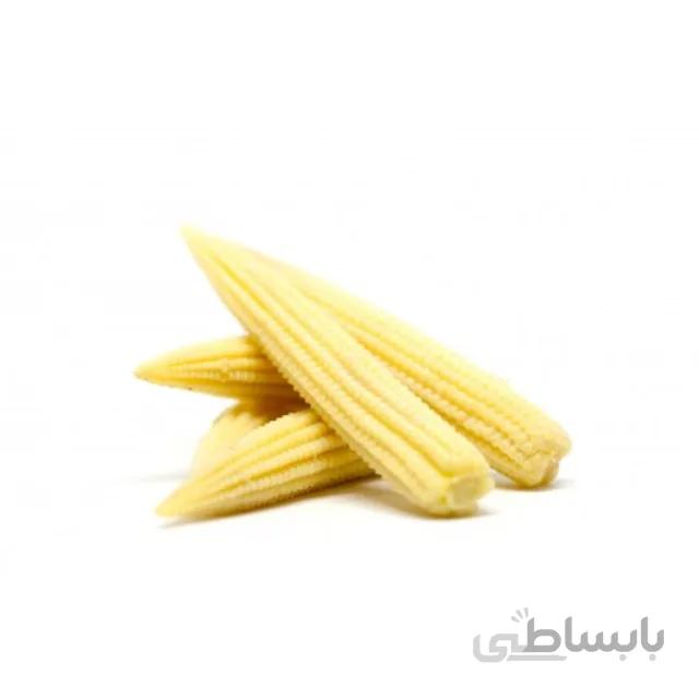 بذر بیبی ذرت زرد بسته ۵ عددی