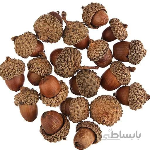 بذر بلوط اکرونز