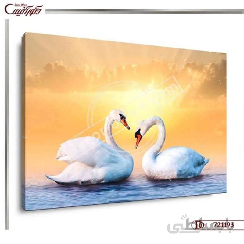 تابلو دو قو 1193 ا Tableau of two swans 1193