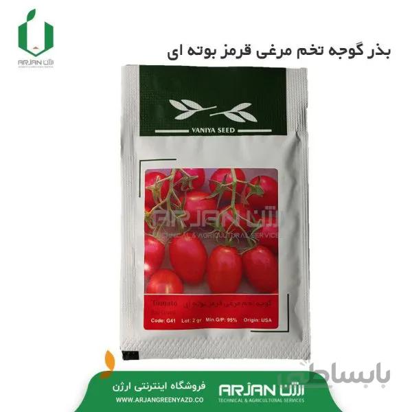 بذر گوجه تخم مرغی قرمز بوته ای 2 گرمی
