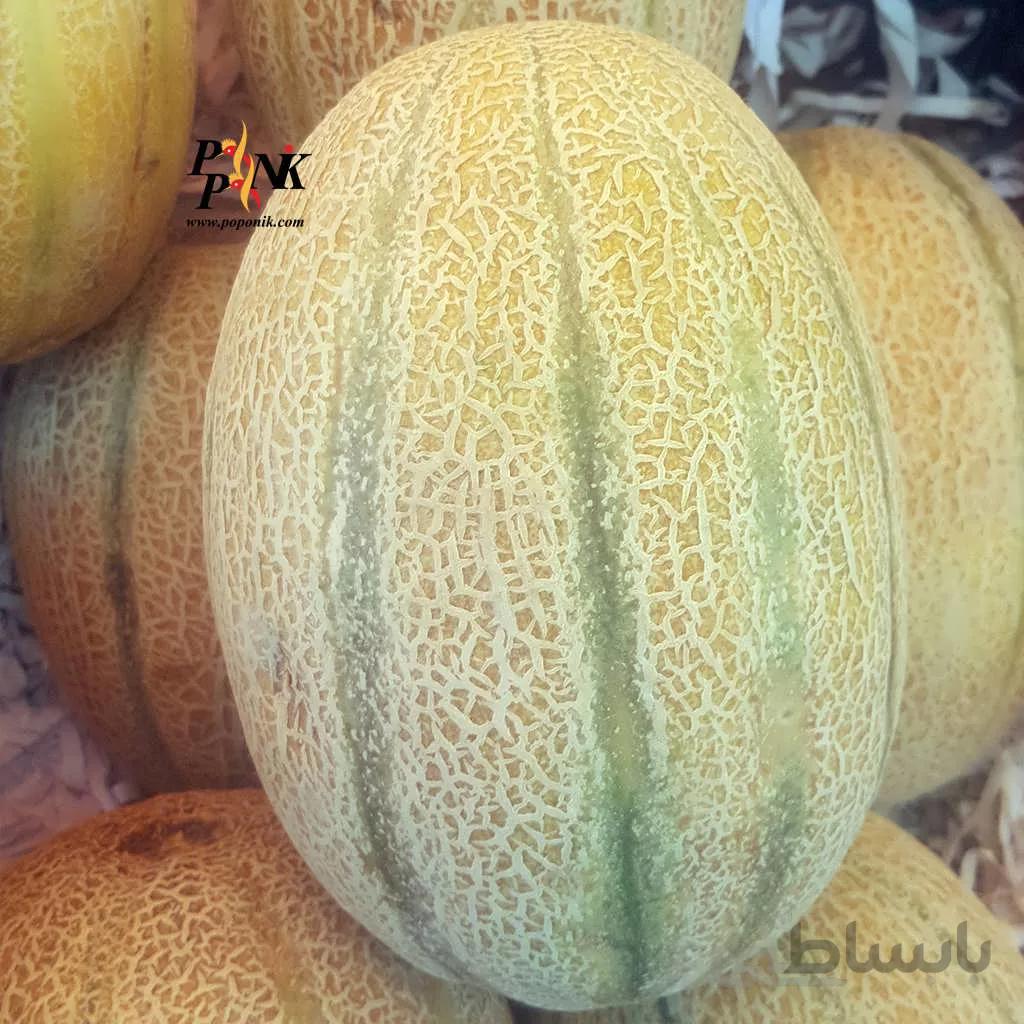 بذر طالبی جانا (ریش بابا)