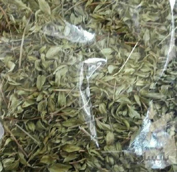 آویشن کوهی 100 گرم ا آویشن کوهی 100 گرم