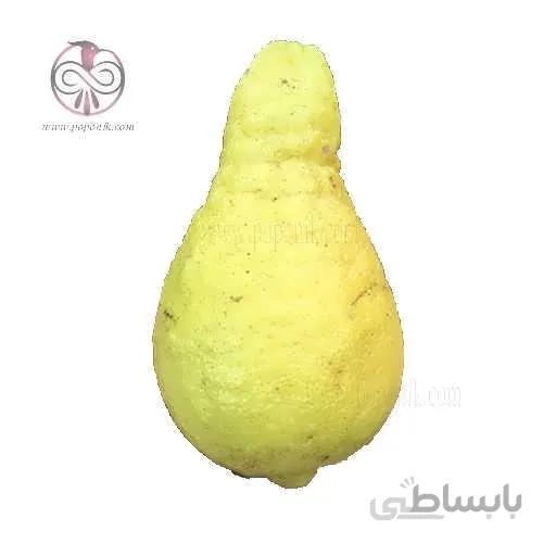 نهال لیمو ترش گلابی