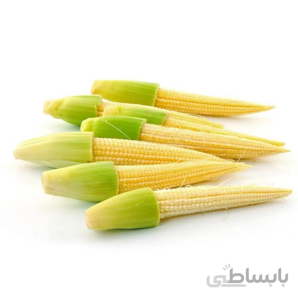 بذر بیبی ذرت
