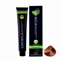 رنگ مو گانسا شماره As6 حجم 100 میلی لیتر رنگ آجری ا GANECA Hair Color Cream Brick Red 100ml No: As6