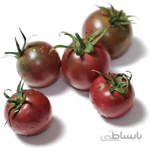 بذر گوجه گیلاسی روسی
