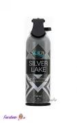 اسپری خوشبو کننده اسکوا مدل SILVER LIKE حجم 120 میلی لیتر