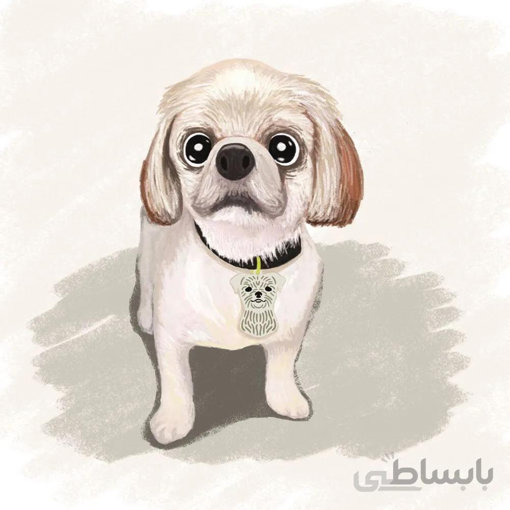 اویز قلاده استیل طرح سگ نژاد 6 کد CD 06 ا Steel Tag Dog Breed 6 Model CD-06