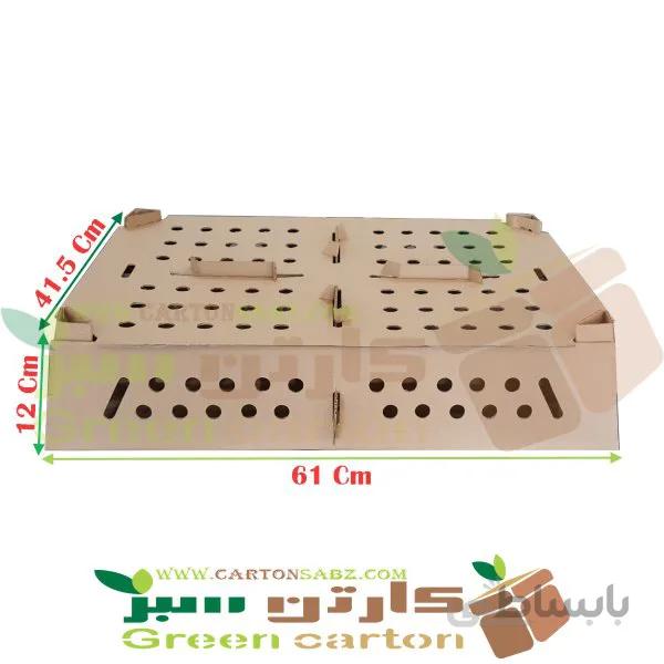 کارتن جوجه یک روزه