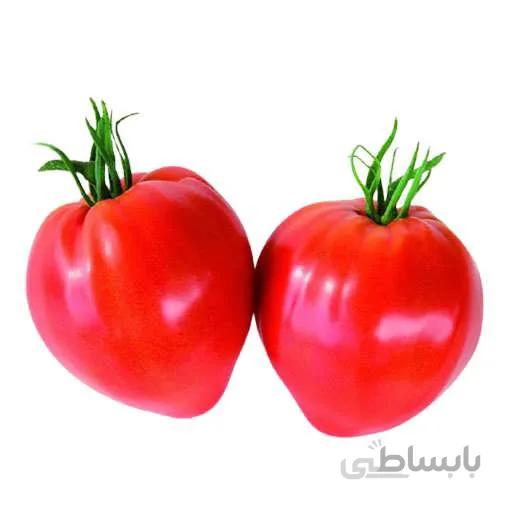 بذر گوجه قلبی قرمز درختی