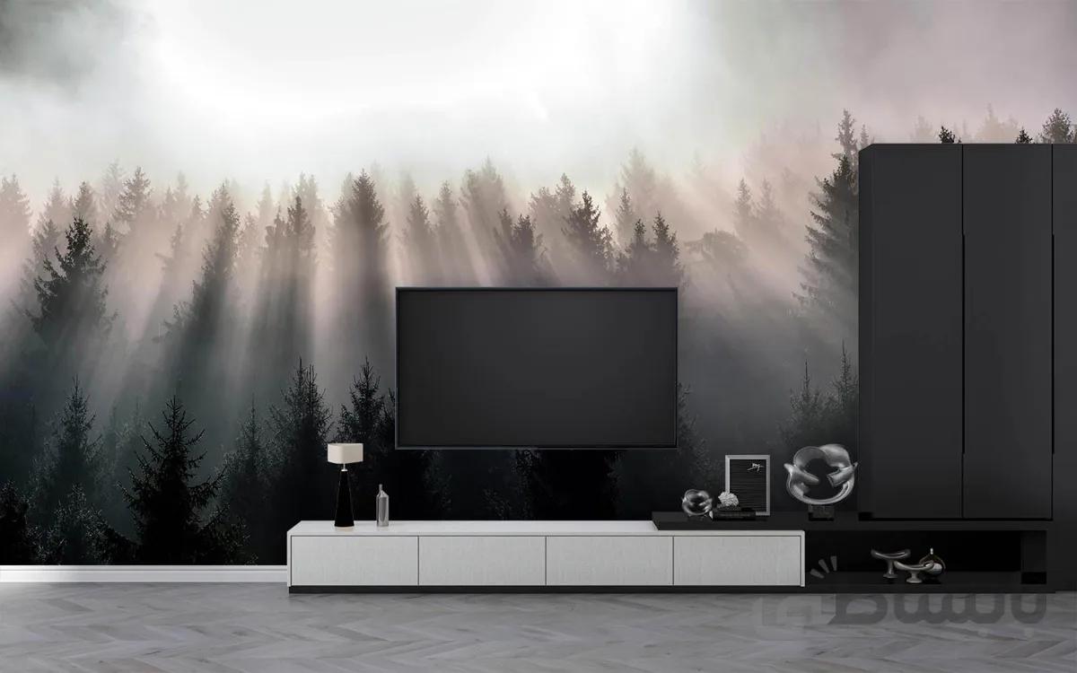 پوستر دیواری منظره طبیعت و درخت W10034000
