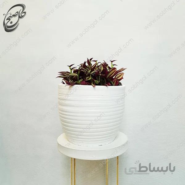 سفارش گل آنلاین – برگ بیدی طرح S-015