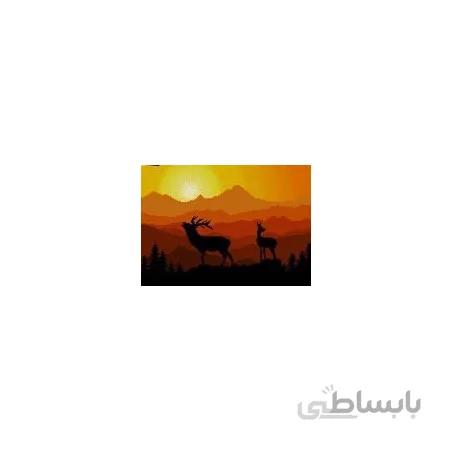 نخ و نقشه آموزشی تابلو فرش کد 5