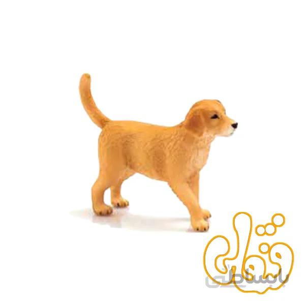 توله سگ زنده یاب طلایی Golden Retriever Puppy 387205