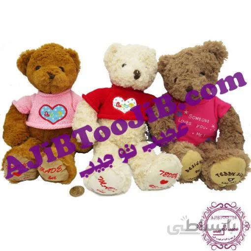 خرس های پشمالوی زمستانی