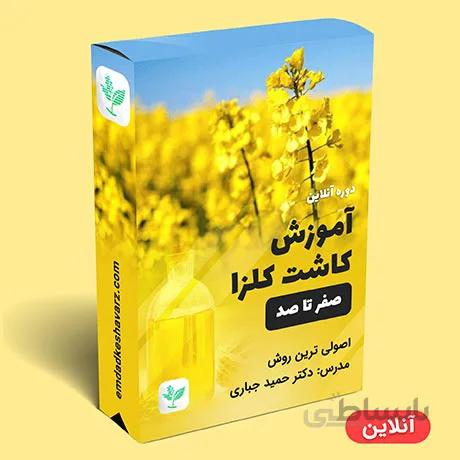 آموزش کاشت کلزا