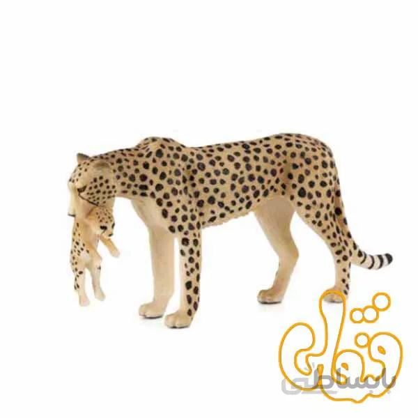 چیتا ماده با بچه Female Cheetah with Cub 387167