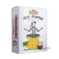 پودر ژله پيناکولادا 100 گرمي شوکوپارس