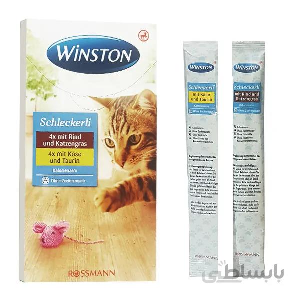 بستنی وینستون گربه با طعم گوشت گاو و پنیر – Winston 2×4 Schleckerli