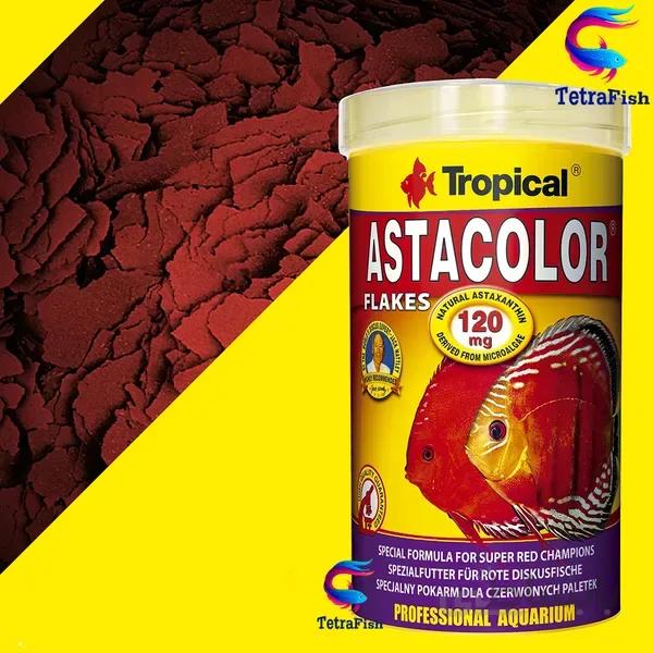 غذای پولکی افزایش رنگ دیسکاس آستا کالر تروپیکال 500 میل