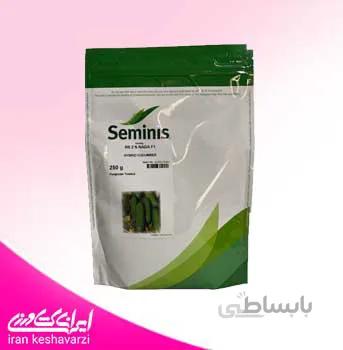 بذر خیار هیبرید دو ان نادا F1 محصول شرکت سمینیس آمریکا