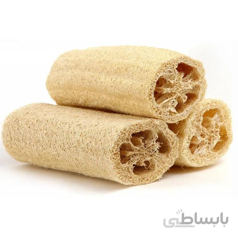 بذر کم یاب گیاه لوفا