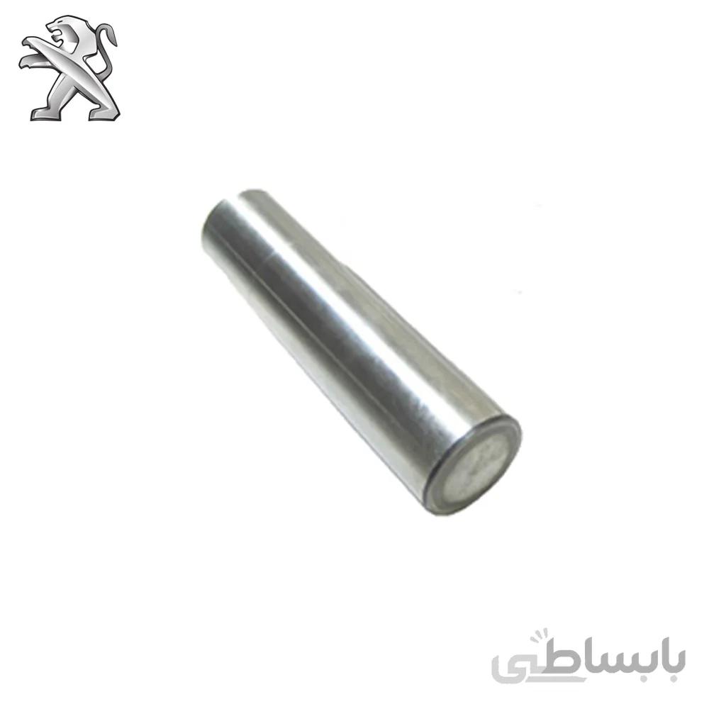 میل ژامبون تو پر پژو 405