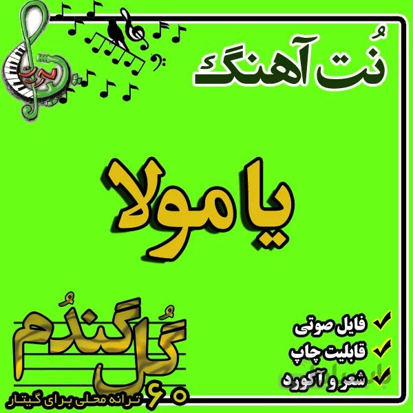 نت گیتار یا مولا