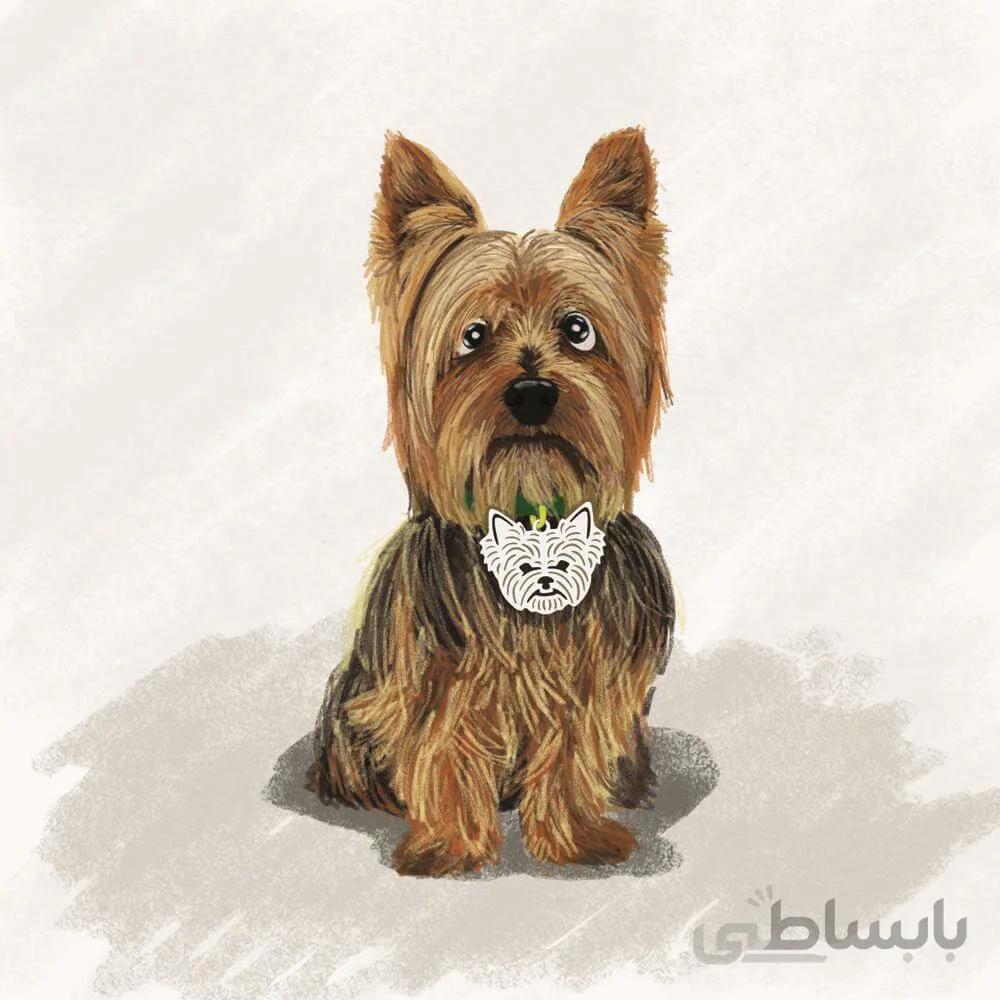 اویز قلاده استیل طرح سگ نژاد 14 کد cd 14 ا Steel Tag Dog Breed 14 Model CD-14