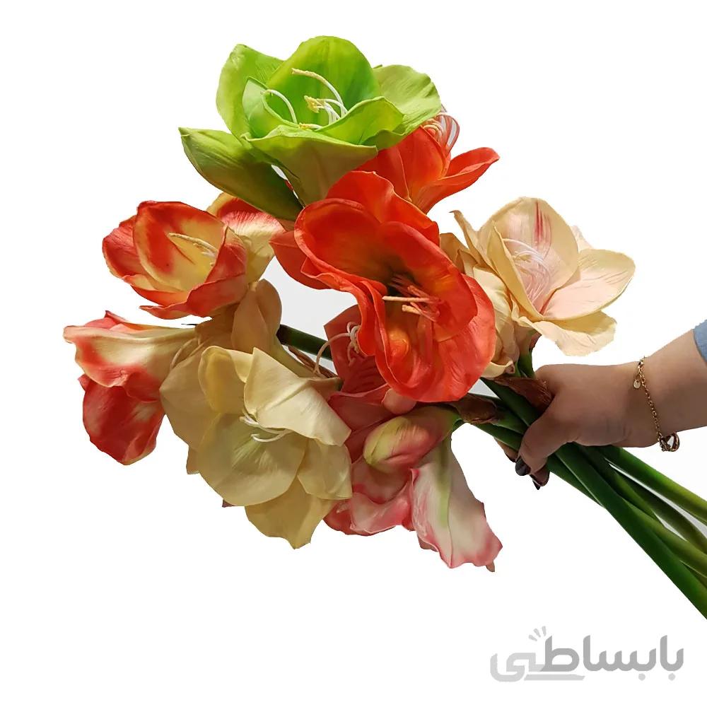 گل آماریلیس لمسی