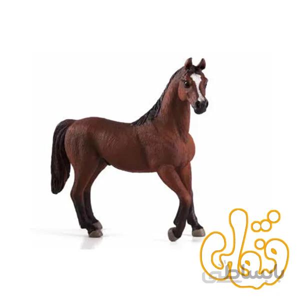 اسب نر فندقی عرب Arabian Stallion Chestnut 387084