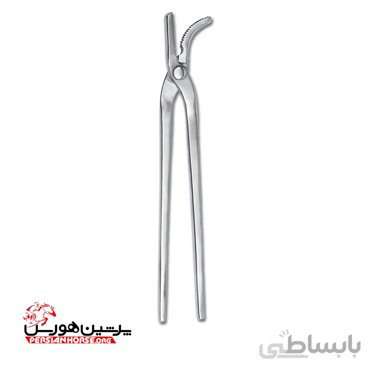 میخ پرچ کن