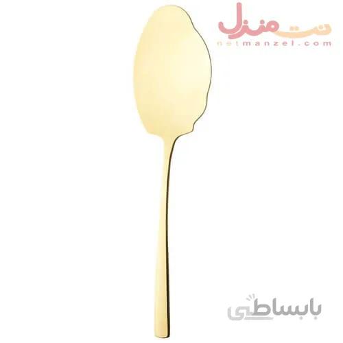 کفگیر بزرگ ناب استیل مدل فلورانس پی وی دی