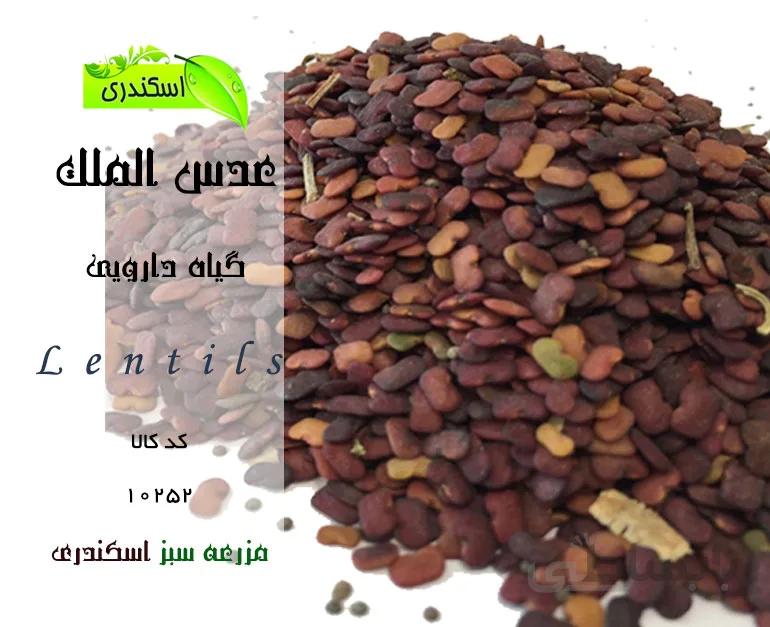 عدس الملک