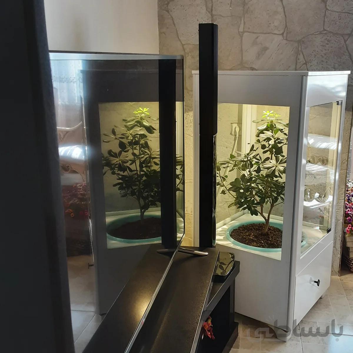 باکس هوشمند نگهداری گل و گیاه
