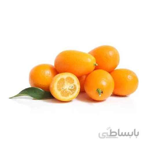 بذر درخت کامکوات