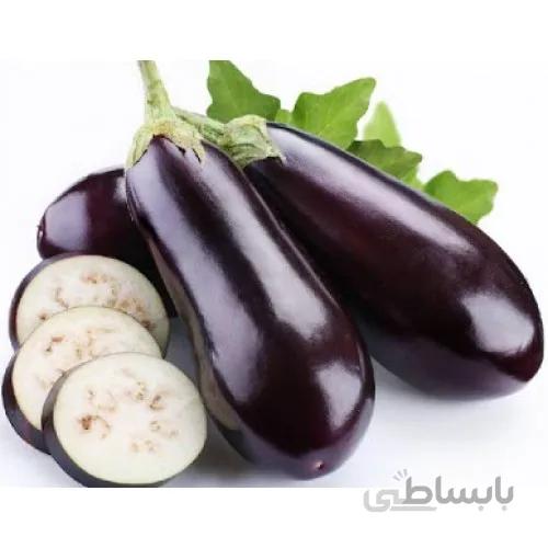 بذر بادمجان درختی