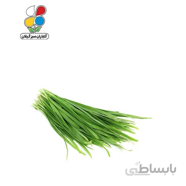بذر تره بومی بسته بندی بزرگ مدل GPSV7L