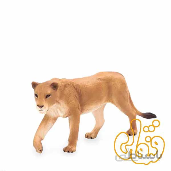 شیر ماده Lioness 387175