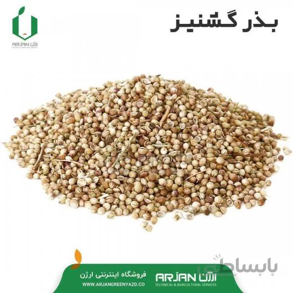 بذر گشنیز کد 345742