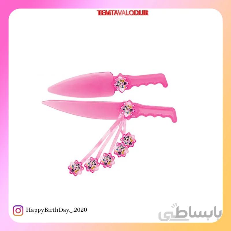 تم مینی موس کارد کیک بری