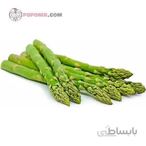 نشاء مارچوبه