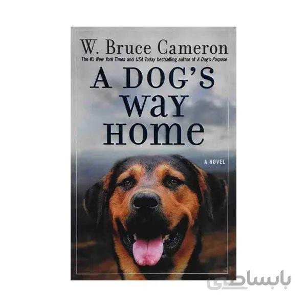 A Dogs Way Home
