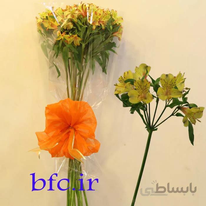 آلسترمریا