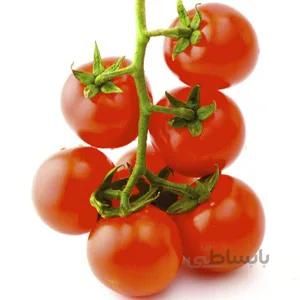 بذر گوجه فرنگی گیلاسی کبابی درختی