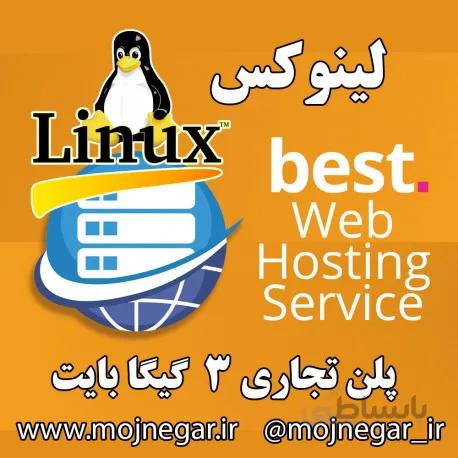هاست تجاری 3 گیگا بایت لینوکس