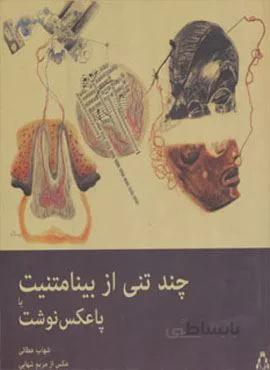 چند تنی از بینامتنیت یا پاعکس نوشت (گلاسه)(کد ناشر : 182)
