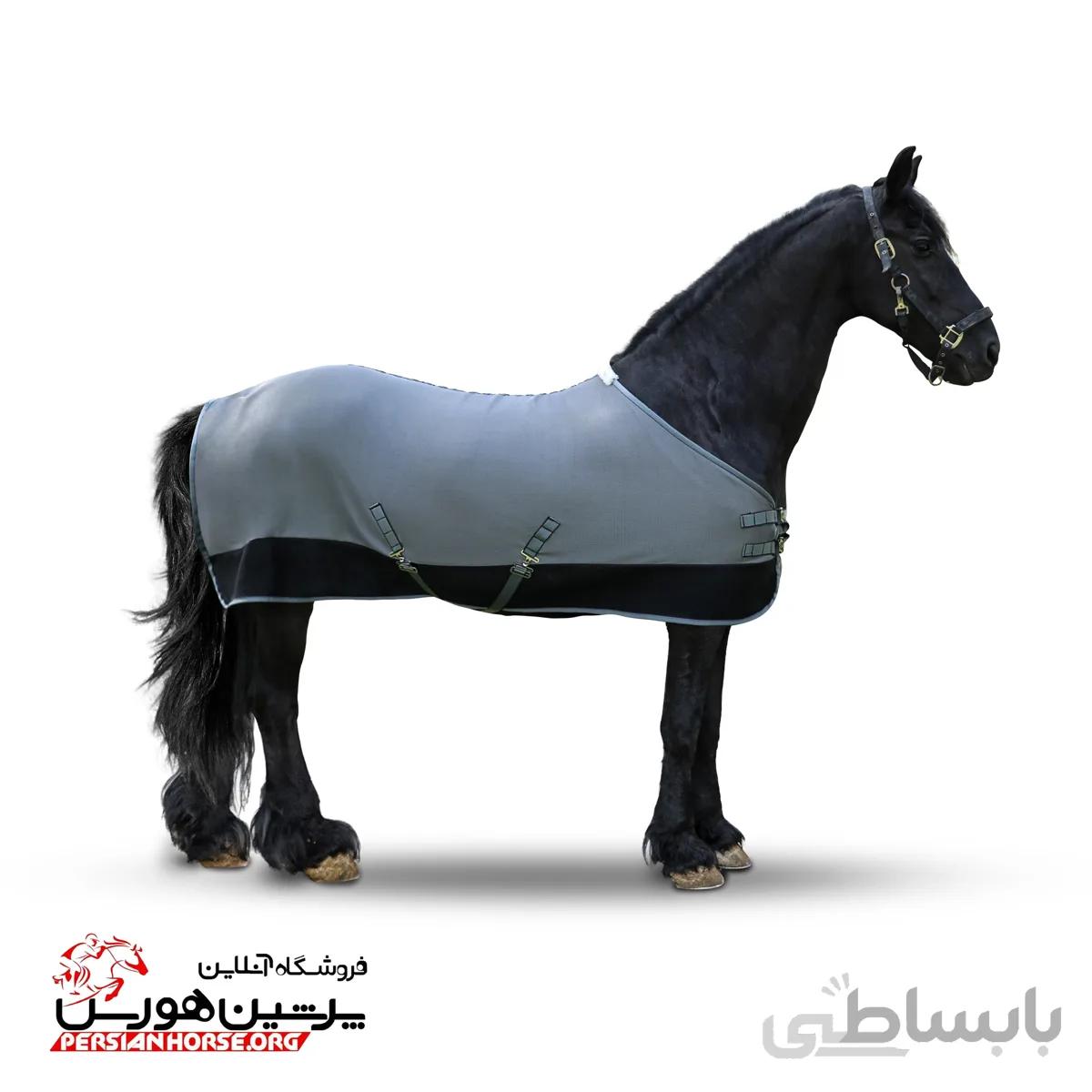 جل توری اسب پیتکو